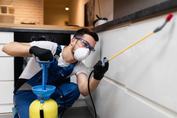 Best Emergency Pest Control  in Del Aire, CA