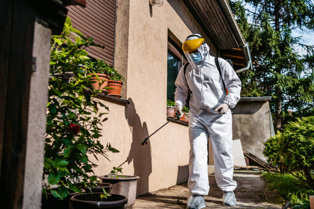 Best Best Pest Control Companies  in Del Aire, CA