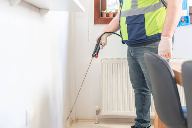 Best Ant Control Services  in Del Aire, CA