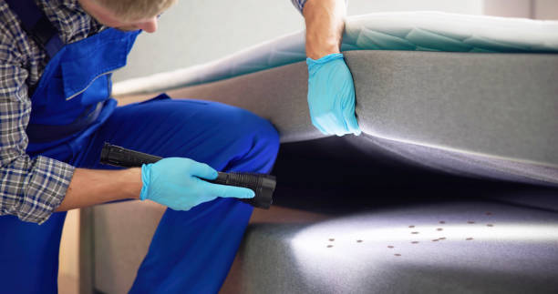 Best Cockroach Control Services  in Del Aire, CA