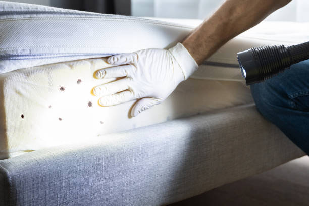 Best Commercial Pest Control Services  in Del Aire, CA